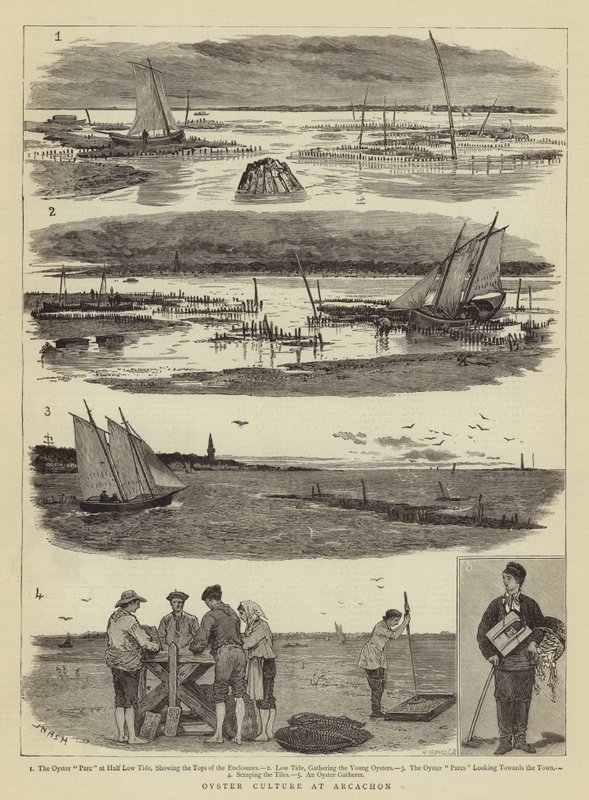 Ostronkultur i Arcachon av Joseph Nash