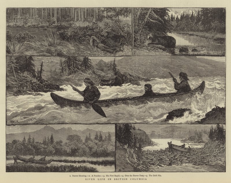 River Life i British Columbia av Joseph Nash