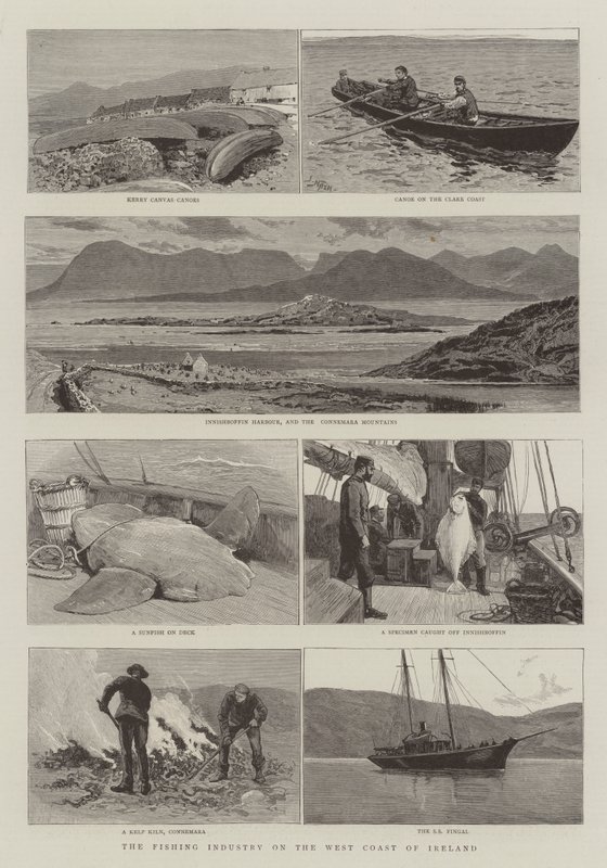 Fiskeindustrin på Irlands västkust av Joseph Nash