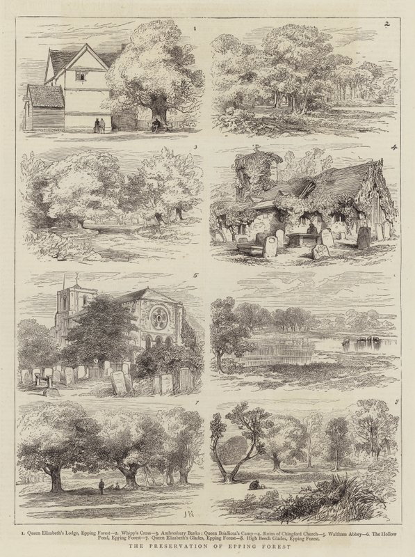 Bevarandet av Epping Forest av Joseph Nash