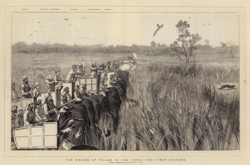Prinsen av Wales i Terai, den första leoparden av Joseph Nash