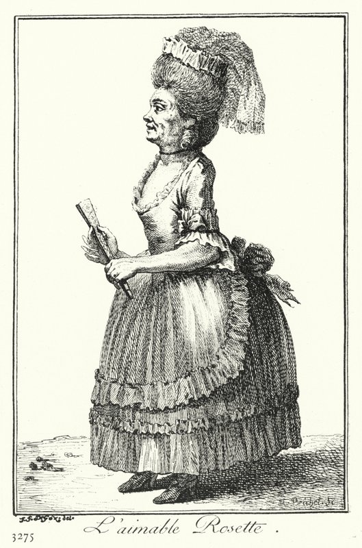 Den vackra rosetten (gravyr) av Joseph Franz von (after) Goez