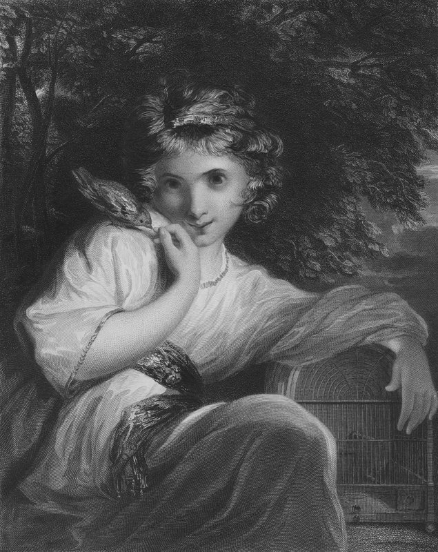 Kran av Joshua Reynolds
