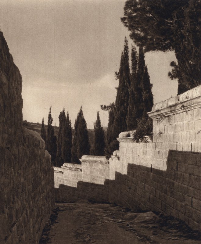 Jerusalem, Getsemane trädgård (s/v foto) av Karl Grober