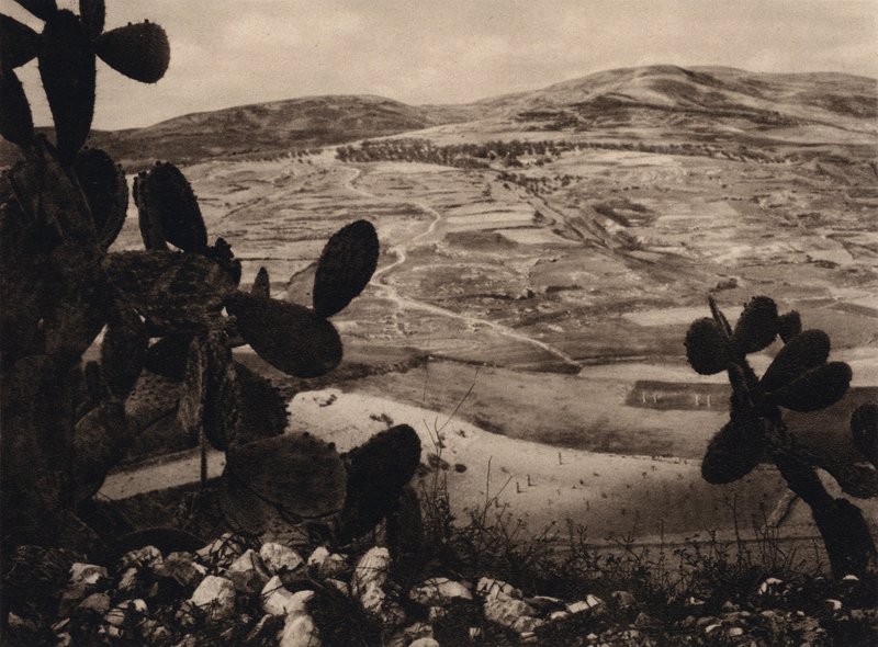 Samaria, Herodes Hippodrome (s/v foto) av Karl Grober