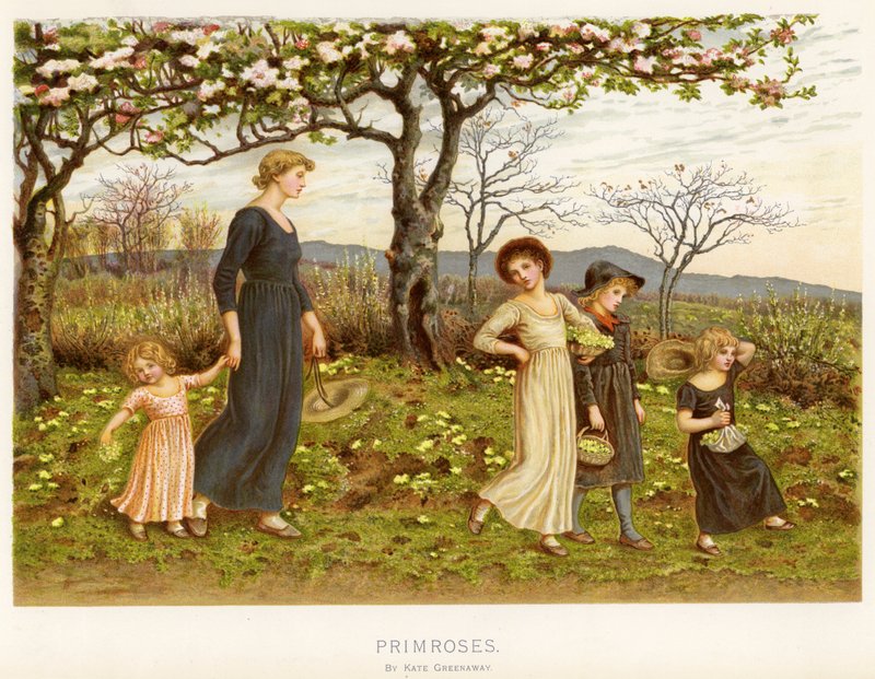 Primulans (chromolitho) av Kate Greenaway