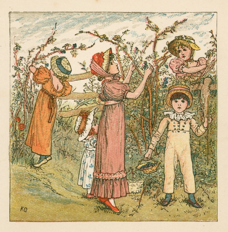 Plockar björnbär av Kate Greenaway