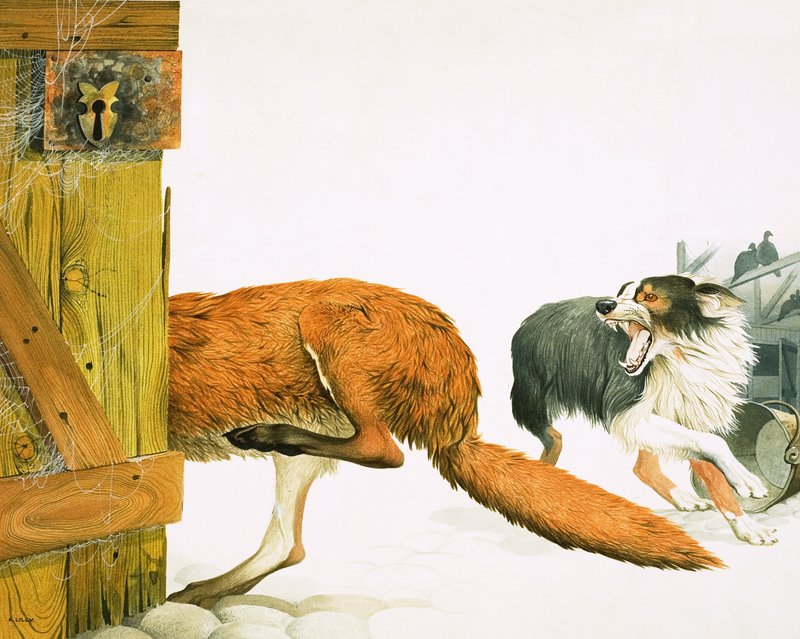 En colliehund jagar bort en räv av Kenneth Lilly