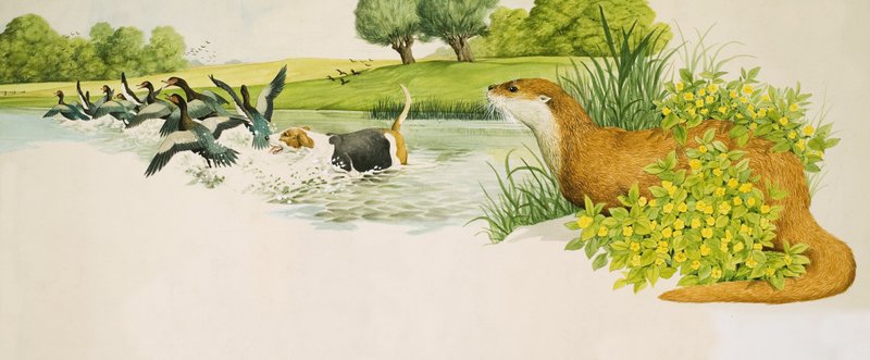 En utter tittar på en hund som jagar ankor av Kenneth Lilly