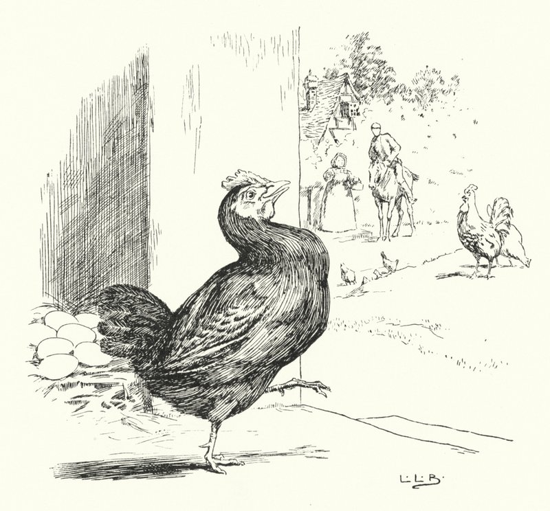Higgly Piggly, min svarta höna (gravyr) av Leonard Leslie Brooke