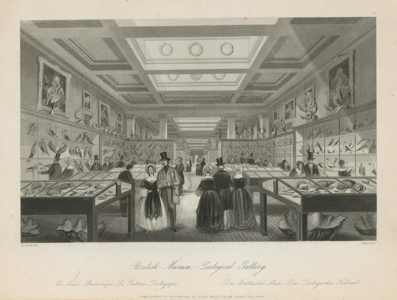 Zoologiskt rum på British Museum av Llewellyn Jewitt