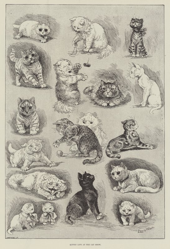 Kattungeliv på kattutställningen av Louis Wain