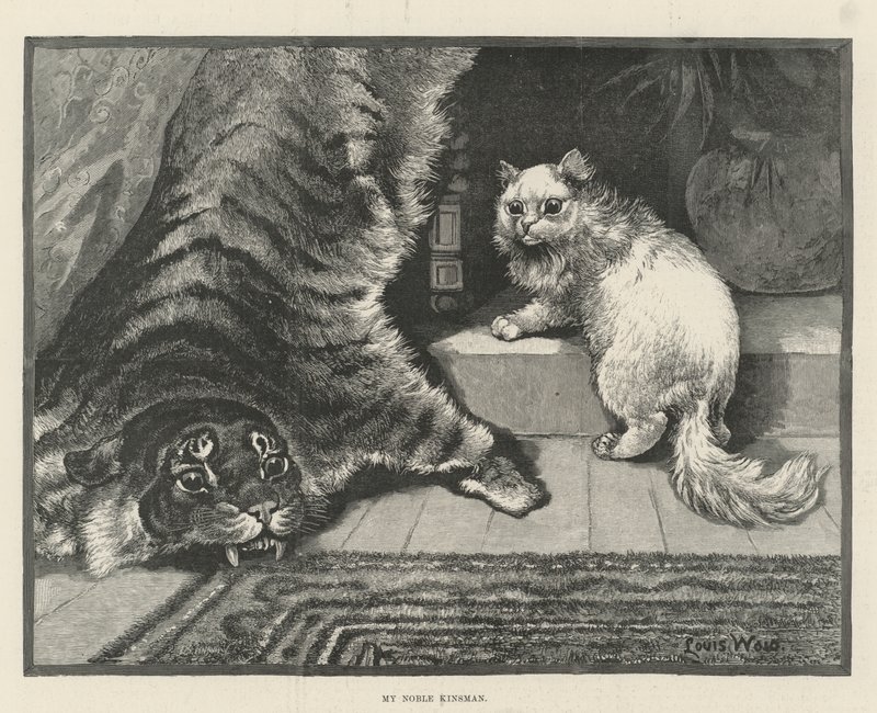 Min ädla släkting av Louis Wain