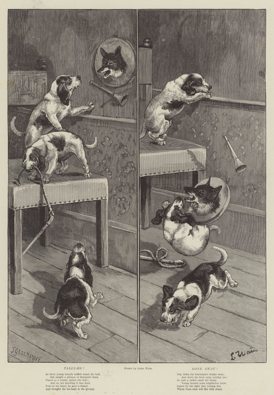 Tally-Ho! Gått iväg! av Louis Wain