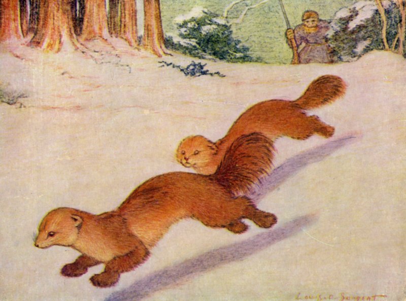 På djurparken: Martens (färg litho) av Louis Augustus Sargent