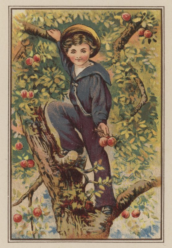 Pojke som klättrar i äppelträd (chromolitho) av Mary Ellen Edwards