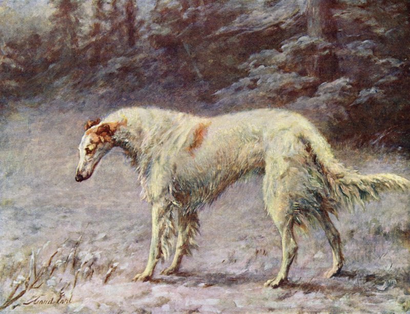 Mästare Ivan Turgeneff av Maud Earl