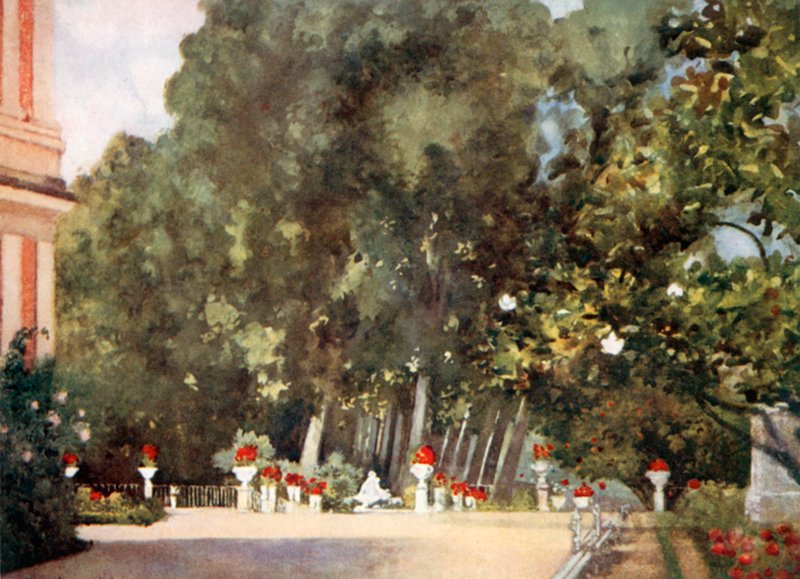 Magnolieträdet, Aranjuez av Mima Nixon