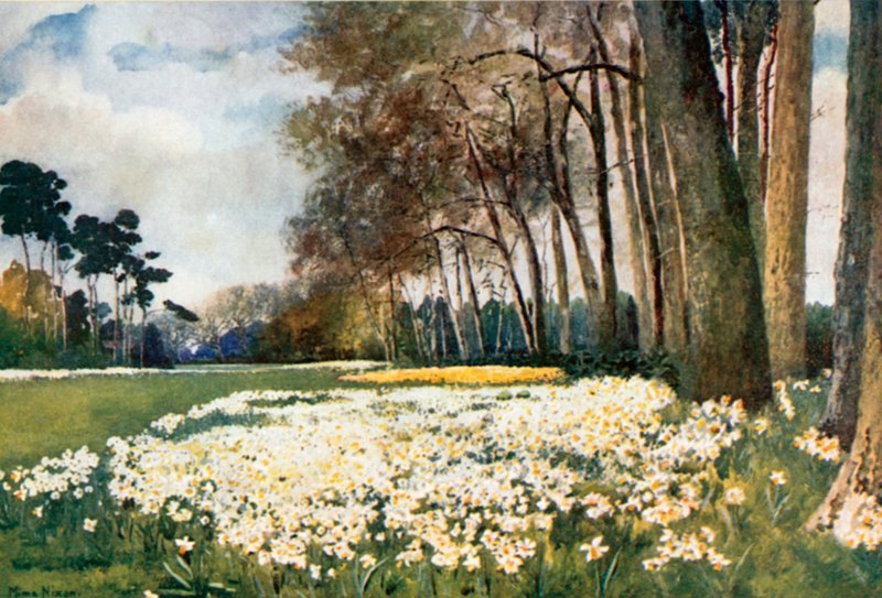 The Park, Sandringham av Mima Nixon