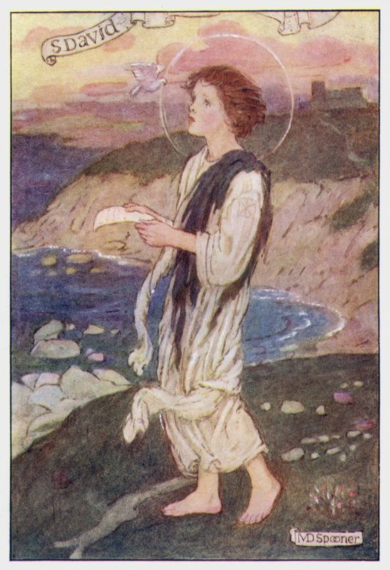 Saint David (färg litho) av Minnie Didbin Spooner