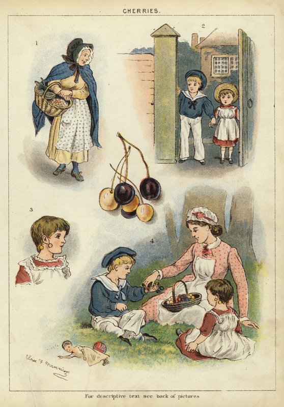 Körsbär (chromolitho) av Miss Eliza F. Manning