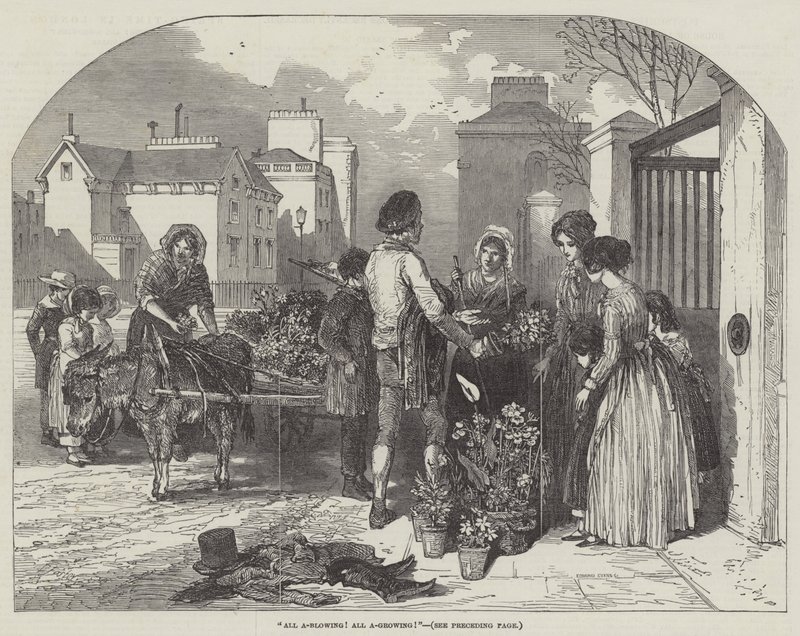 Allt som blåser! Allt A-växande! av Myles Birket Foster