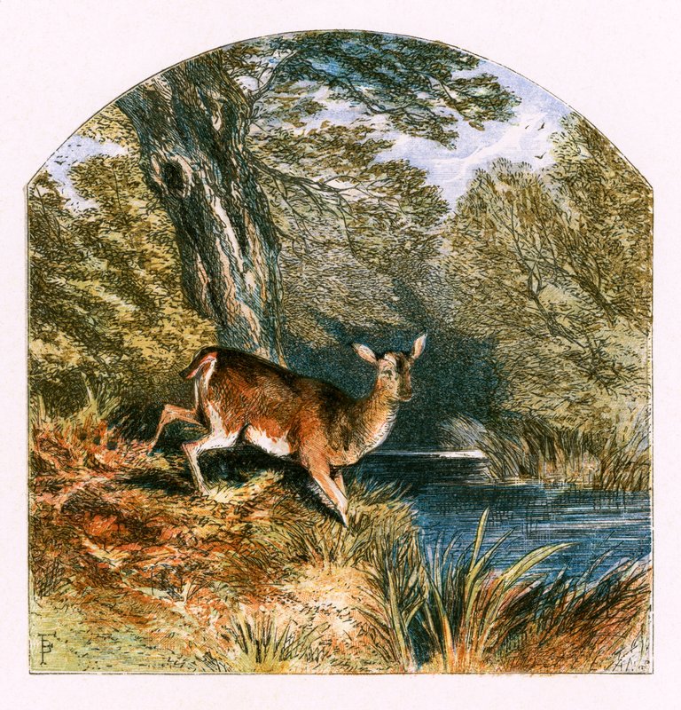 Illustration för 