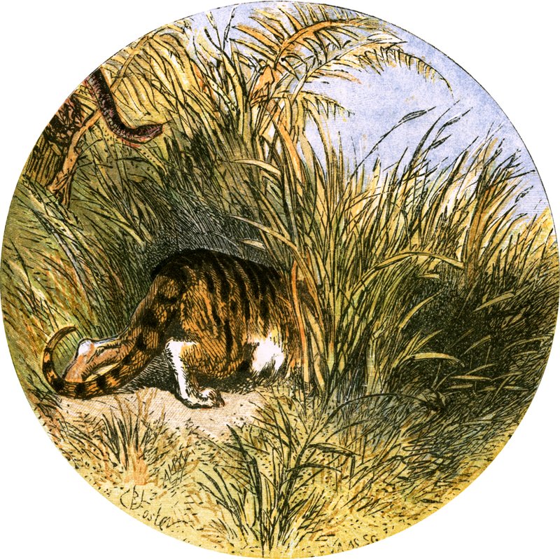 Illustration för "Den öde byn" av Myles Birket Foster