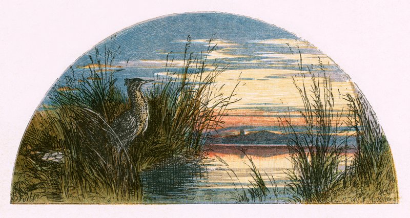 Illustration för 