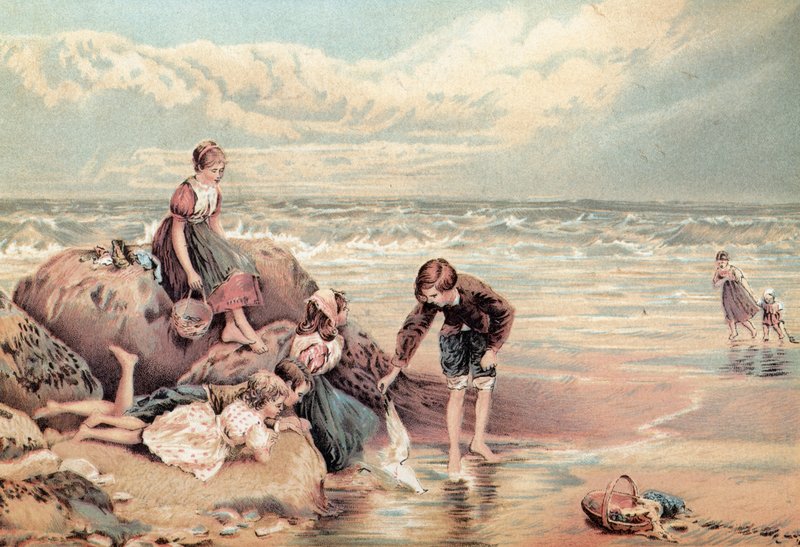 Den döda sjöfågeln av Myles Birket Foster