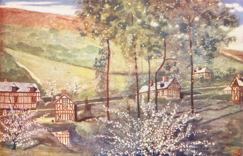 Körsbärsblomma (färglitografi) av Nico Jungmann