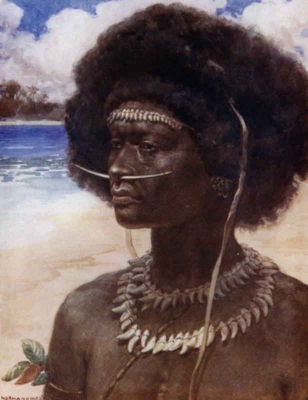 A New Guinea Dandy (färg litho) av Norman Hardy