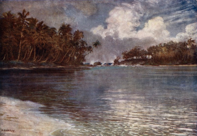 By Reef and Palm (färg litho) av Norman Hardy