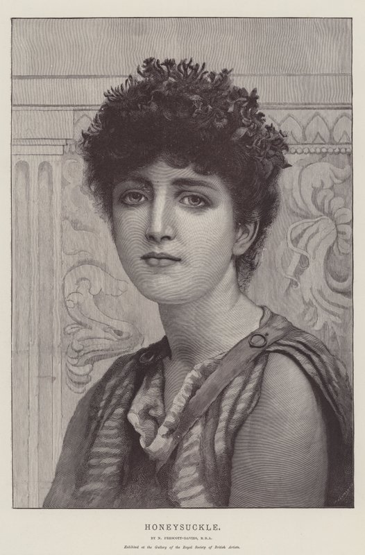 Kaprifol av Norman Prescott Davies
