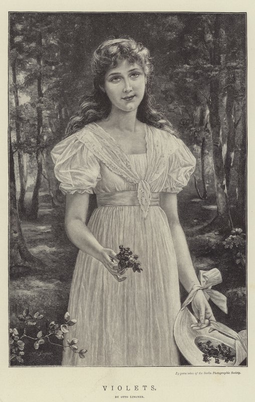 Violer av Otto Theodor Gustav Lingner