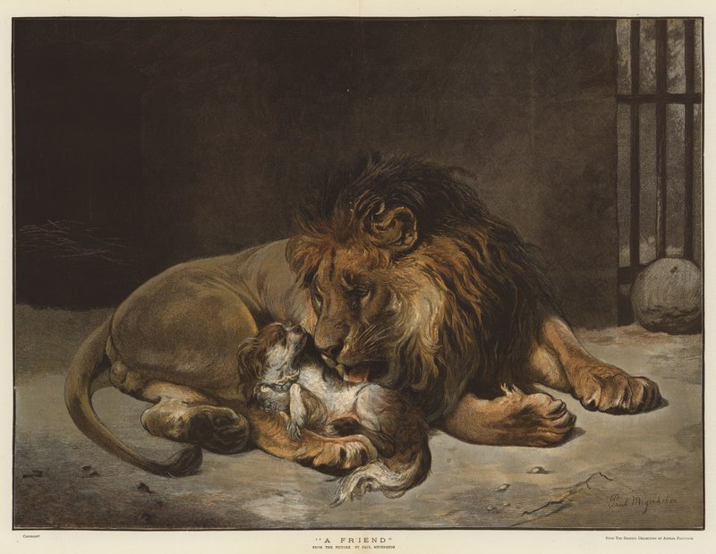 En vän (chromolitho) av Paul Friedrich Meyerheim