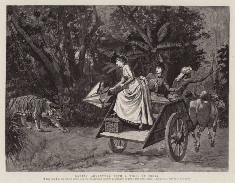 Damernas äventyr med en tiger i Indien av Percy Macquoid