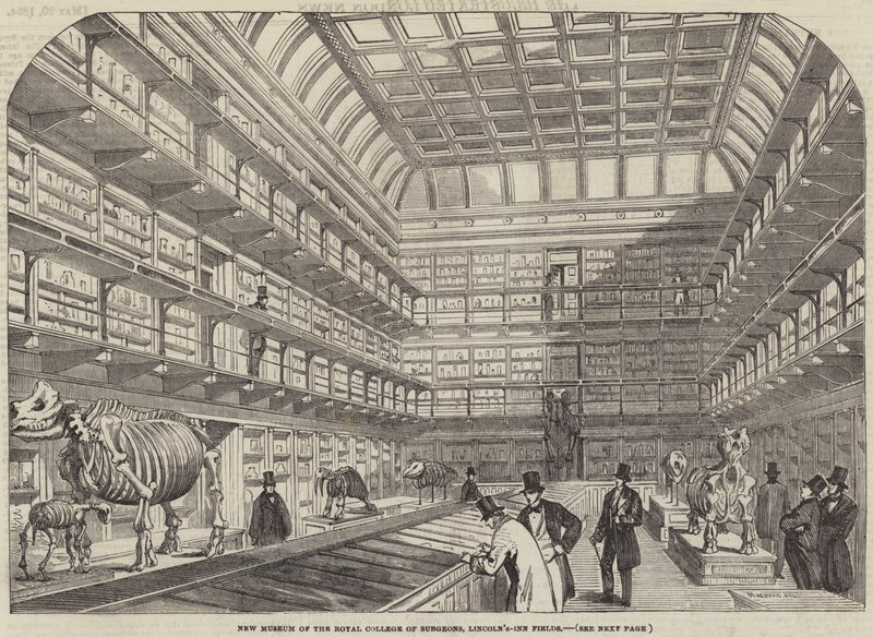 New Museum of the Royal College of Surgeons, Lincoln