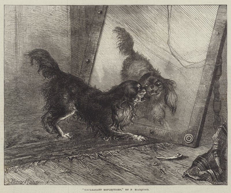 Obehagliga reflektioner av Percy Macquoid