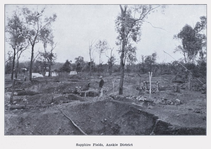 Sapphire Fields, Anakie District (s/v foto) av Photographer Australian