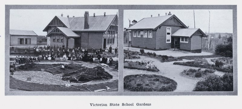 Victorian State School Gardens (s/v foto) av Photographer Australian