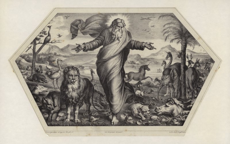 Djurens skapelse av Raffaello Sanzio Raphael
