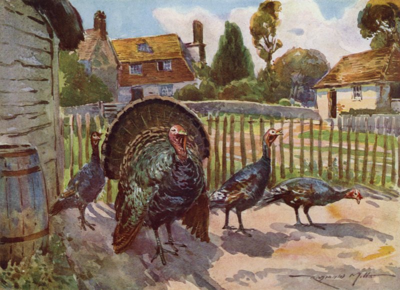 Illustration för My Farm (färg litho) av Reginald Mills