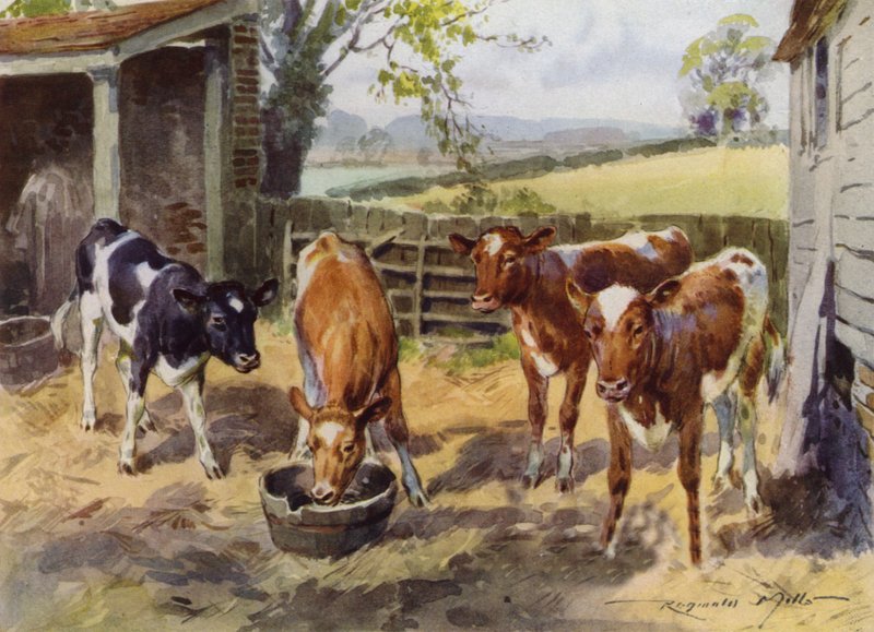 Illustration för My Farm (färg litho) av Reginald Mills