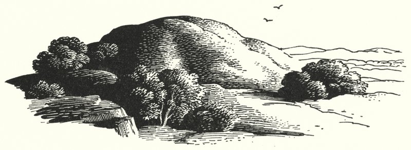 Hans Christian Andersen: Elfinberget (litho) av Rex (after) Whistler