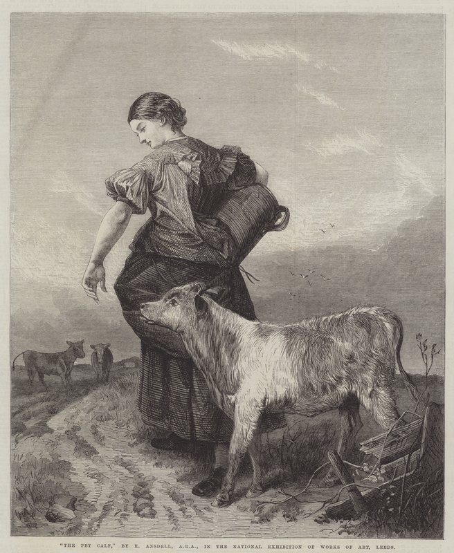 Husdjurskalven av Richard Ansdell