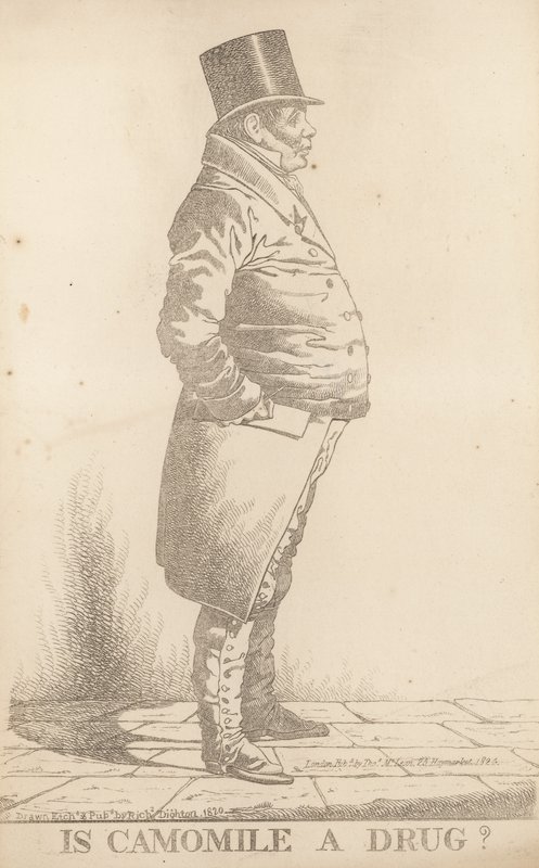 Herr Bowden, är kamomill en drog? av Richard Dighton