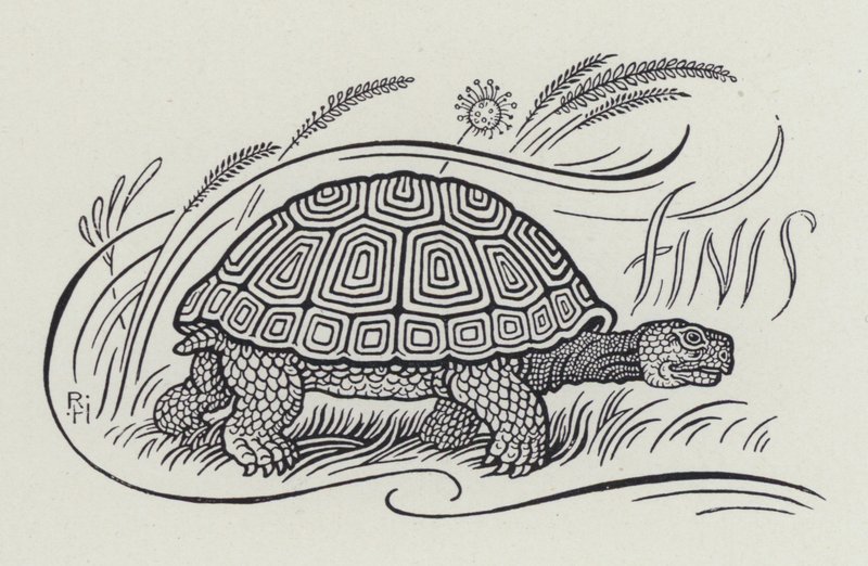 Hare And The Tortoise (gravyr) av Richard Heighway