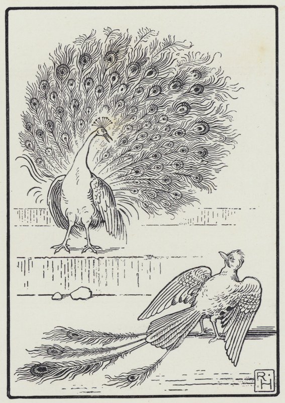 Jay And The Peacock (gravyr) av Richard Heighway