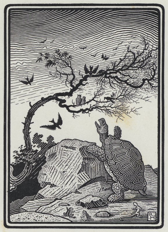 Sköldpaddan och fåglarna (gravyr) av Richard Heighway